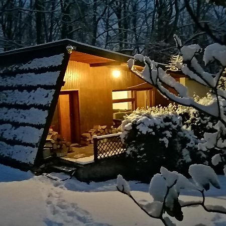 فيلا Chalpa Na Skarpie Meszna المظهر الخارجي الصورة